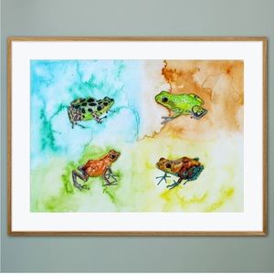 Poison Frogs Fine Art Print Reproduction Watercolor Colorful Tropical Rainforest